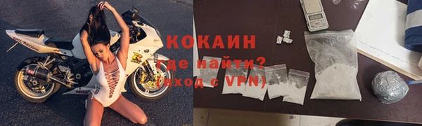 гашик Аркадак